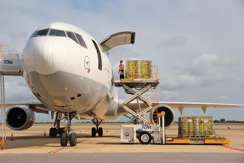 Air cargo charter aircraft loading freight